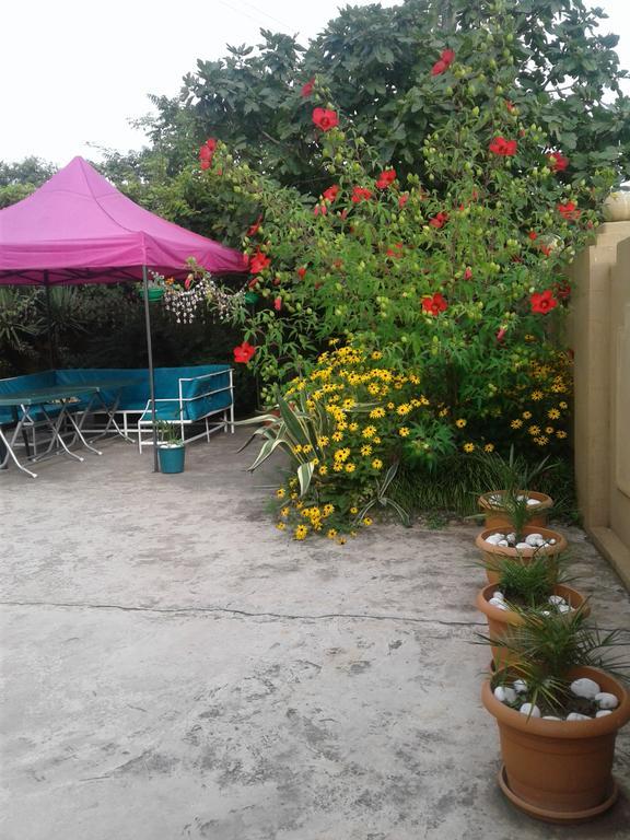 Gonio Apsaros House Hotel Luaran gambar